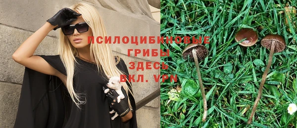 трава Гусев
