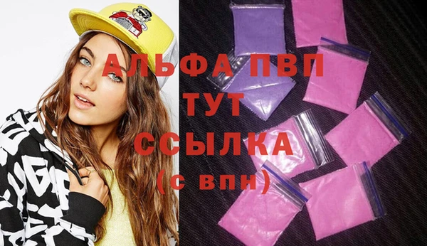 индика Гусь-Хрустальный