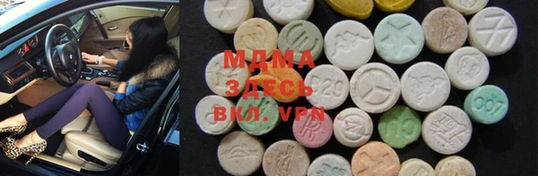 индика Гусь-Хрустальный