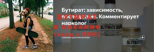 индика Гусь-Хрустальный