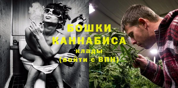 трава Гусев