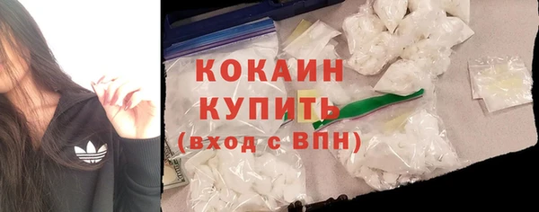 индика Гусь-Хрустальный