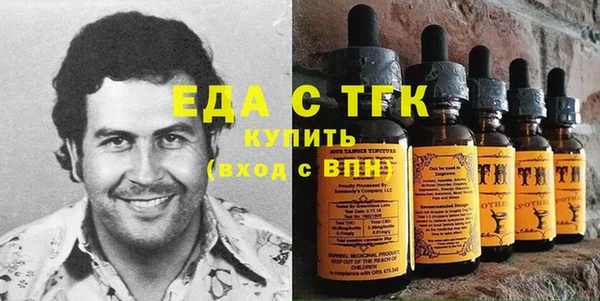 индика Гусь-Хрустальный