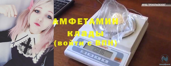 индика Гусь-Хрустальный