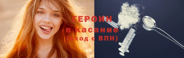 индика Гусь-Хрустальный