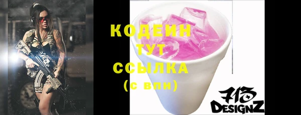 индика Гусь-Хрустальный