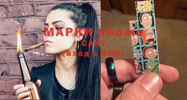 индика Гусь-Хрустальный
