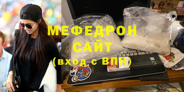 индика Гусь-Хрустальный