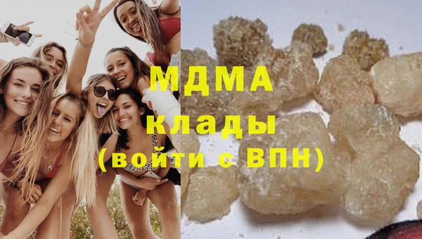 индика Гусь-Хрустальный