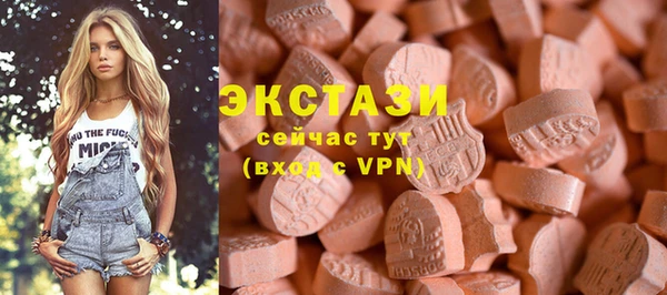 индика Гусь-Хрустальный