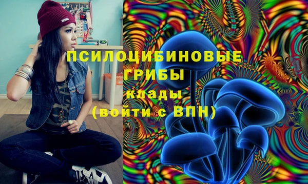 индика Гусь-Хрустальный