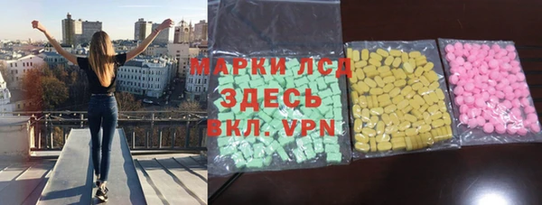 индика Гусь-Хрустальный