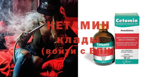 индика Гусь-Хрустальный