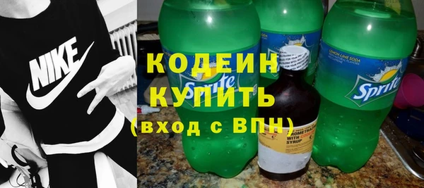индика Гусь-Хрустальный