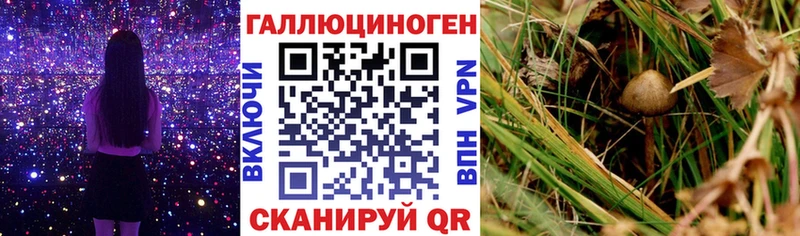 Галлюциногенные грибы мицелий  Златоуст 